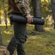Каремат полевой Серый